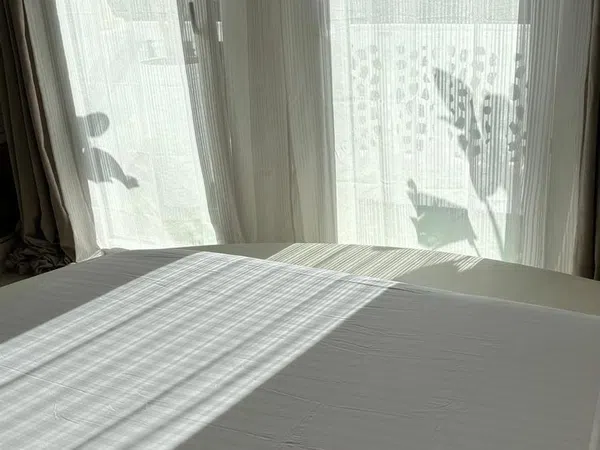 Chalet adosado en Urbanización Calle Ciudad de los Periodistas, 2 - Foto 17