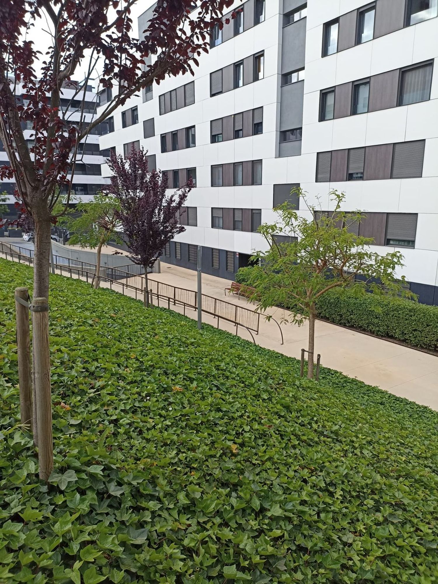 Piso en calle de Emilia Guàrdia i Arbusi, 4 - Foto 13