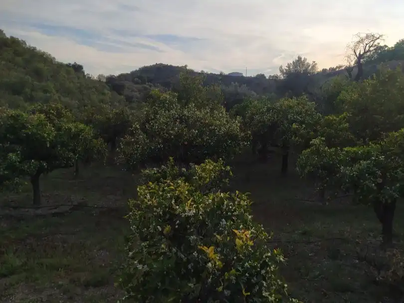 Finca rústica en  Loma Para 1 - Foto 32