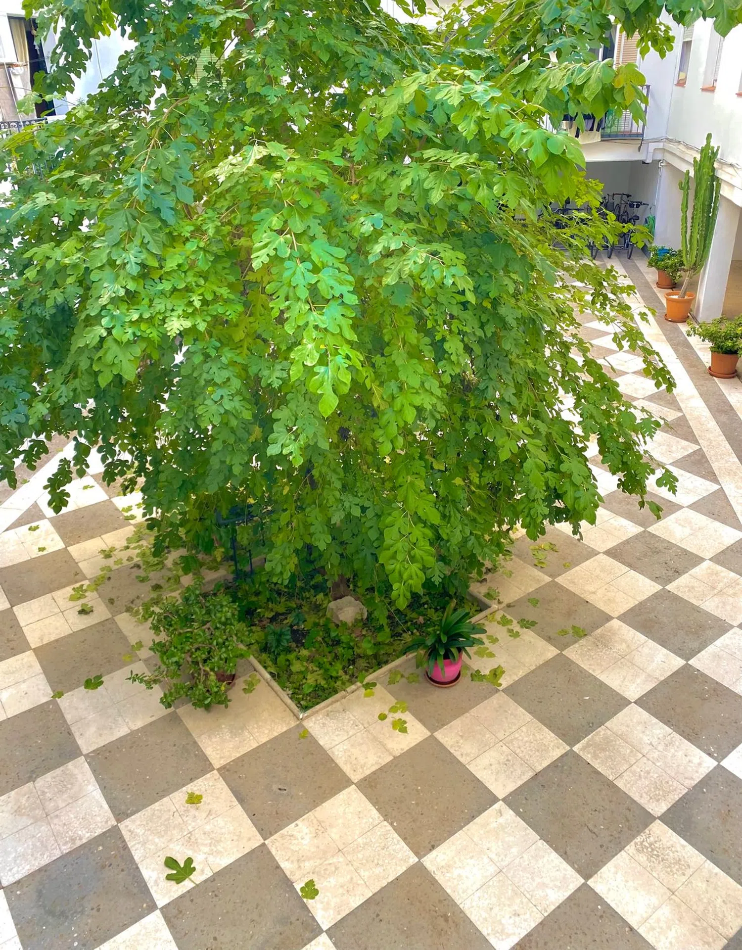 Piso en Santa Lucía, 21 - Foto 11