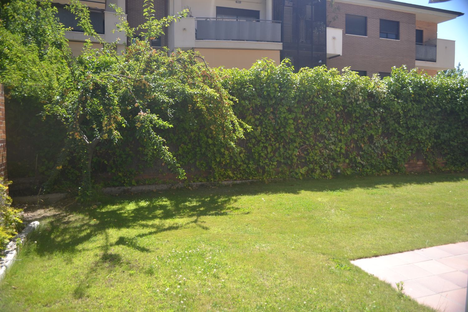 Piso en Avenida de la Oliva, 43, Golf - El Carralero, Golf - El Carralero - Foto 15