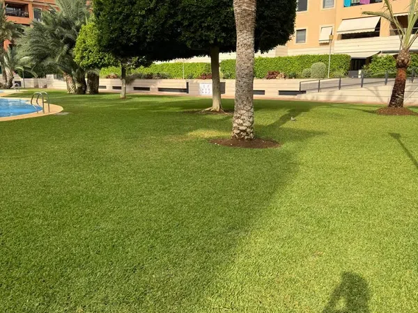 Piso en Camino del Llavador, 9, Les Bassetes-El Marjal - Foto 17