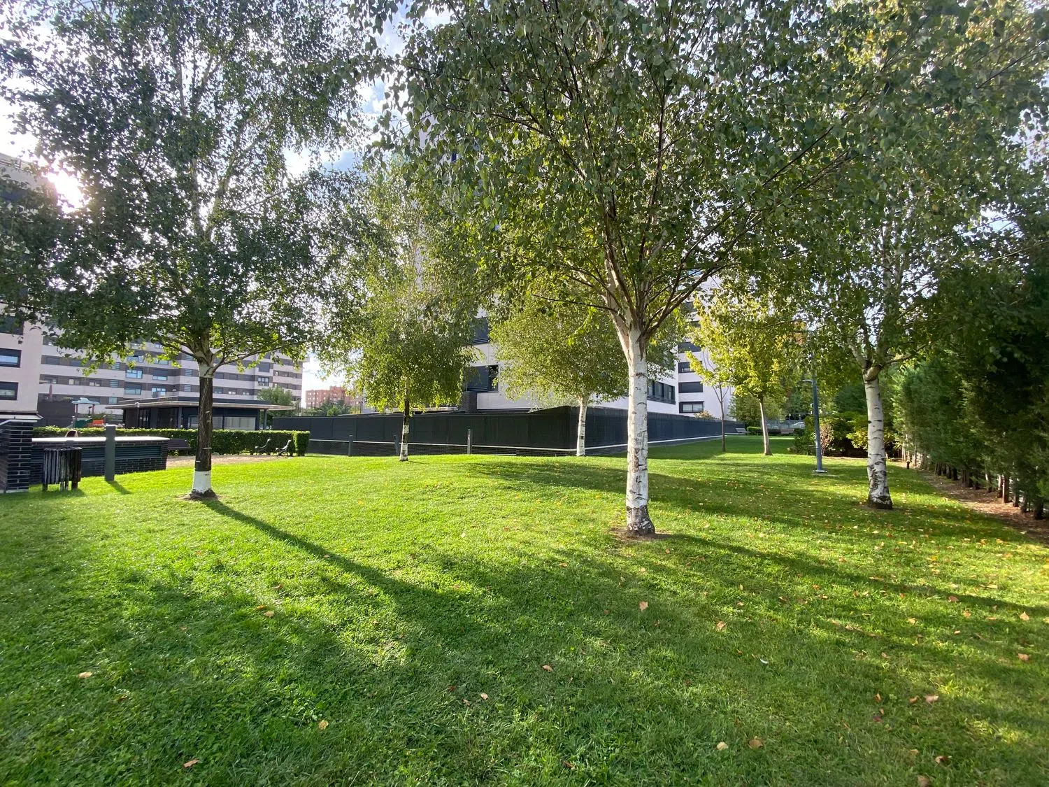 Piso en calle Cirilo Martínez Novillo, 9 - Foto 5