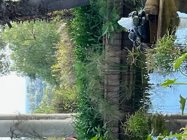 Piso en Urb. parque botanico Los Flamingos - Foto 17