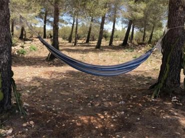 Finca rústica en  Passeig de I'Almadrava 13 - Foto 2