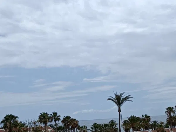 Estudio en Av. R. P. Lluvina, 32 - Foto 12