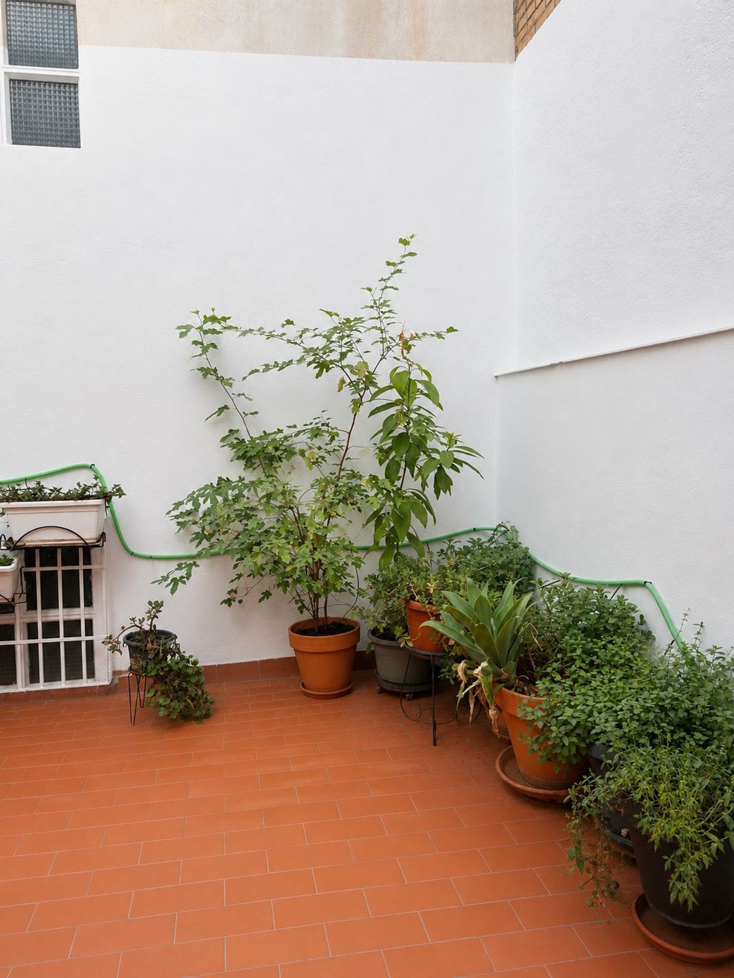 Piso en Calle Horno de Haza, 22, Jardín Botánico - Foto 10