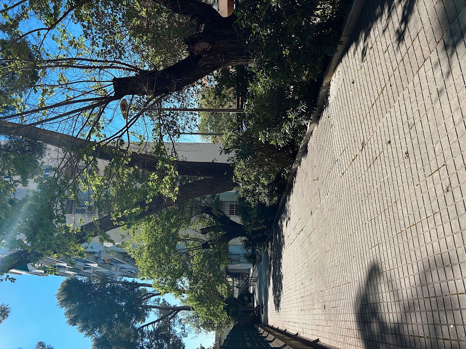 Piso en calle Gustavo Gallardo, 1 - Foto 38