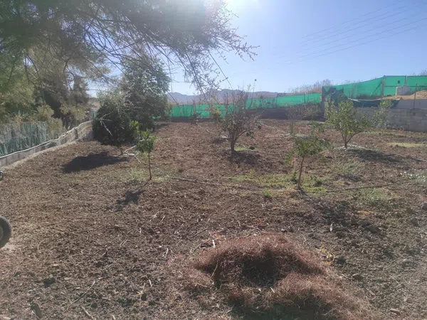 Finca rústica en Villa del Guadalhorce, 1, Villafranco del Guadalhorce, Villafranco del Guadalhorce - Foto 21