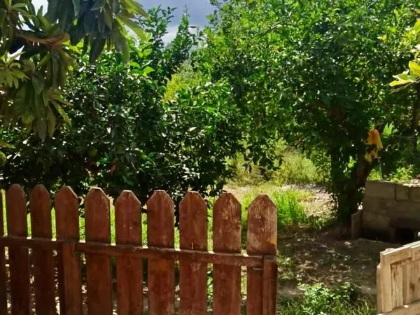 Chalet pareado en camino de Barreras, 35 - Foto 5