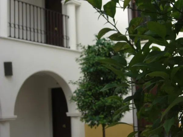 Dúplex en calle Alcántara, 13