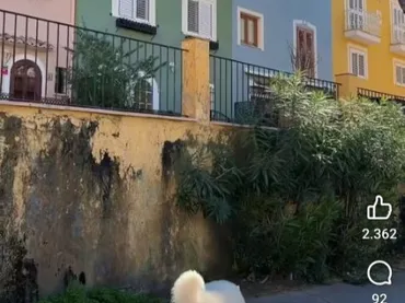 Piso en  Avenida l'Horta 35 - Foto 18