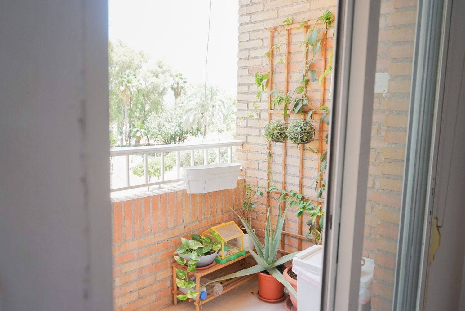 Piso en Calle Escritor Fernandez Delgado, 1, El Carmen - Foto 12