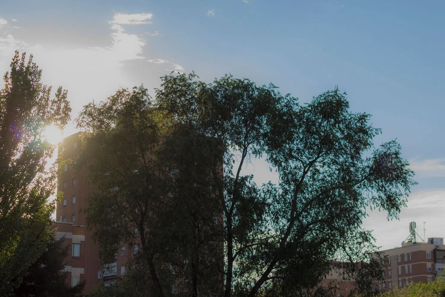 Piso en calle carlina, 5 - Foto 16