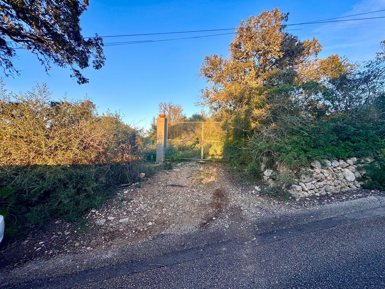 Finca rústica en Camino CamÍ de Son Bernat s/n - Foto 4