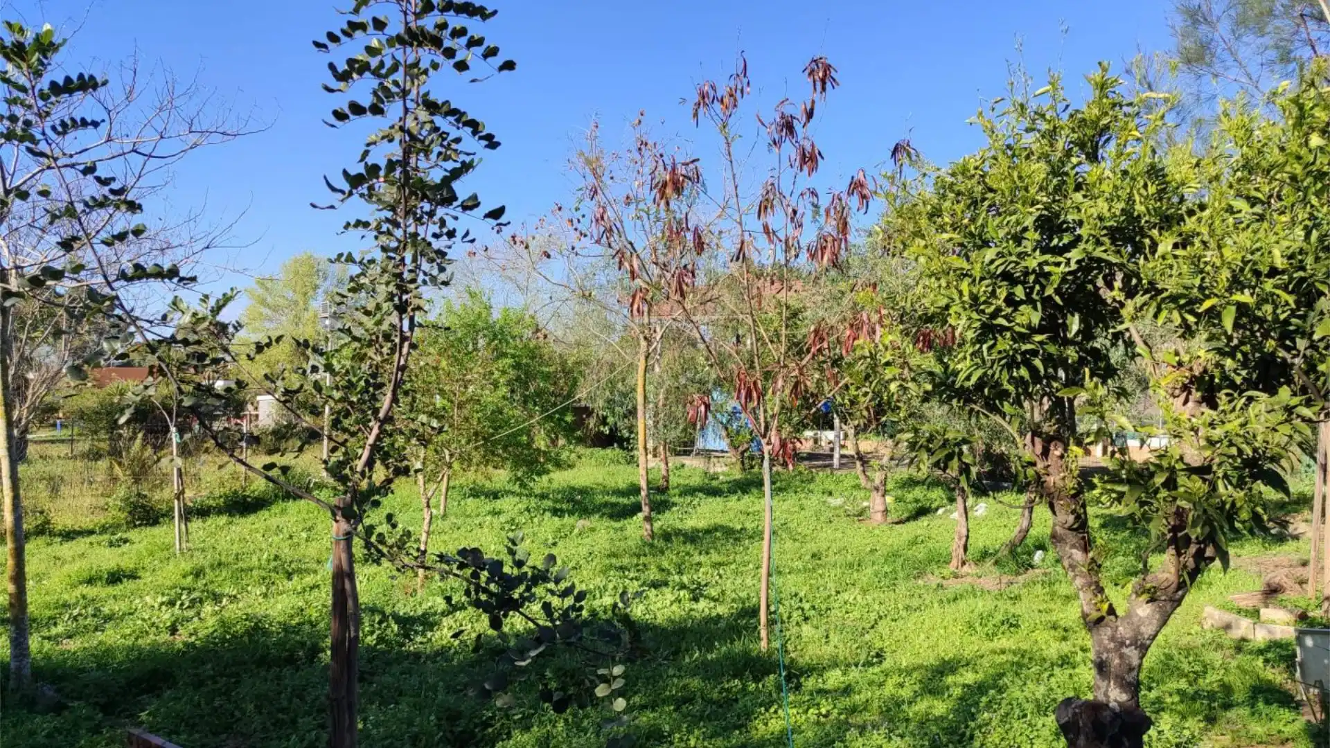 Chalet en Alcalá de Guadaira - Foto 28