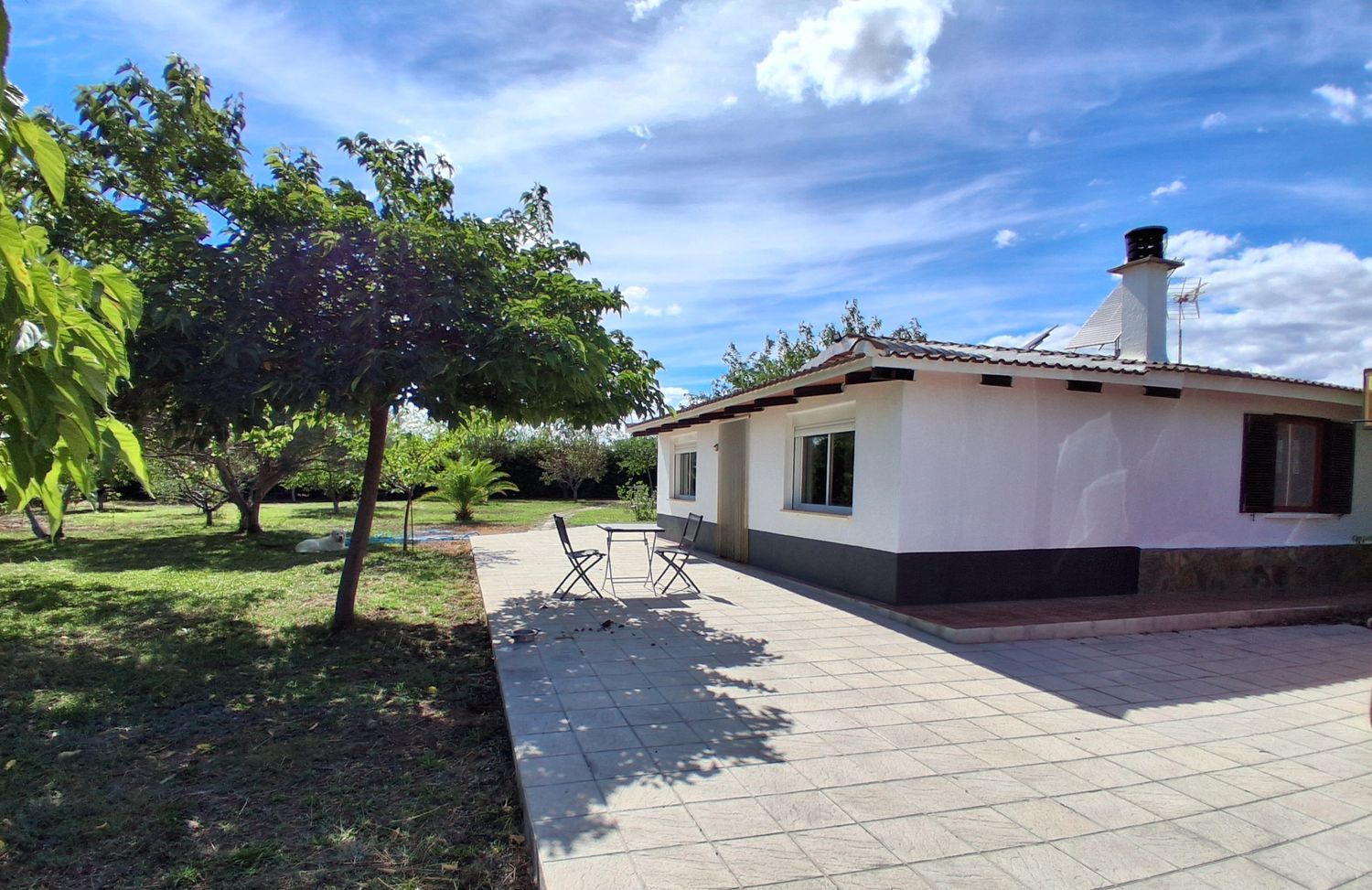 Finca rústica en Avenida Nuestra Señora del Villar s/n - Foto 4