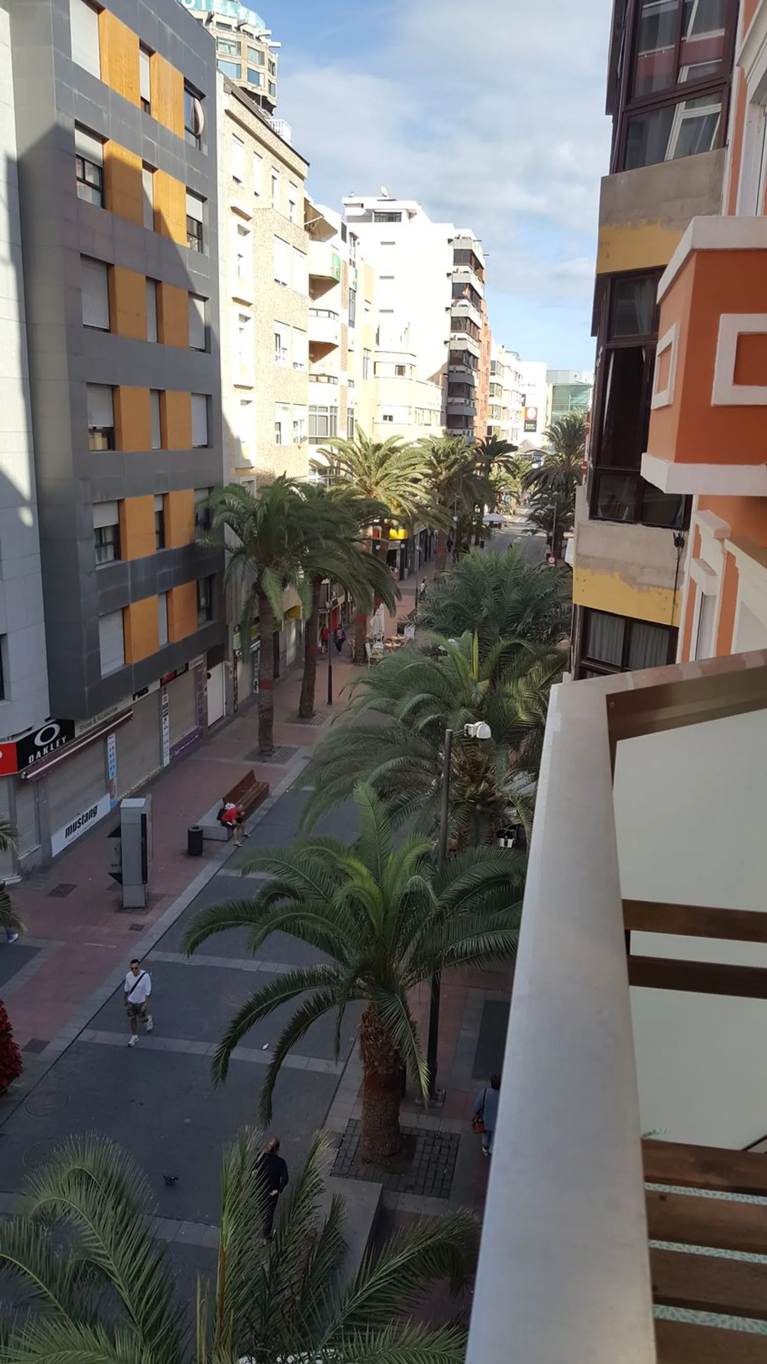 Estudio en calle Luis Morote, 17 - Foto 2
