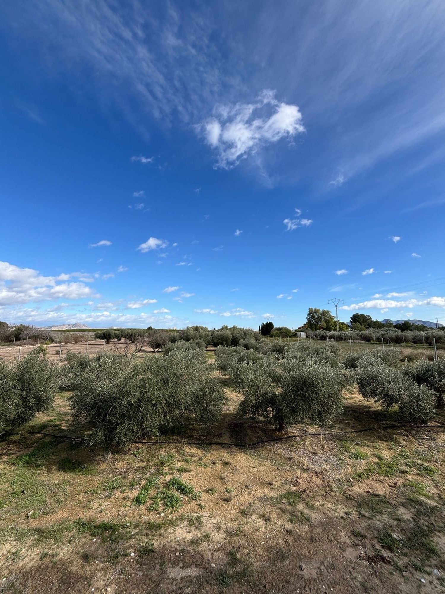 Finca rústica en calle Fc Ladrillo, 11 - Foto 10