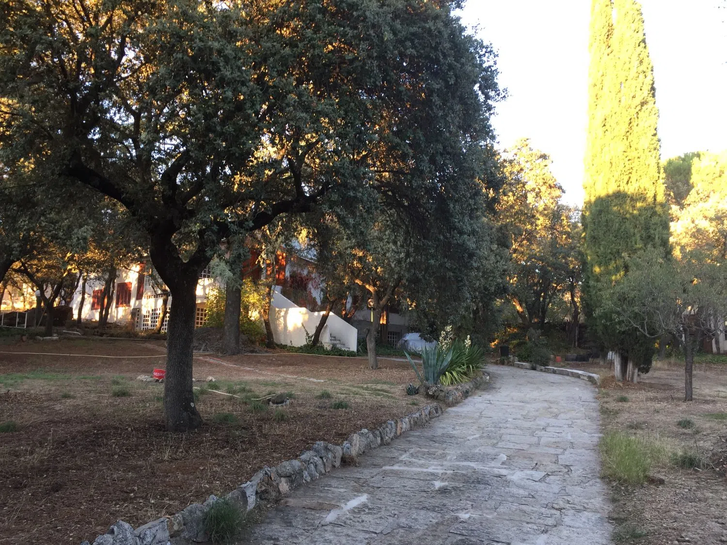 Casa independiente en urbanización Buenavista s/n - Foto 14