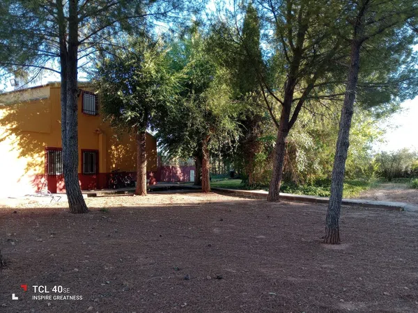 Finca rústica en Camino de las Carretas s/n - Foto 24