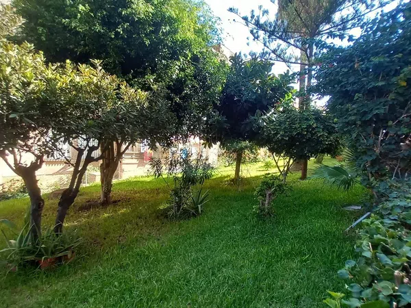 Piso en calle Maestro Chueca, 7