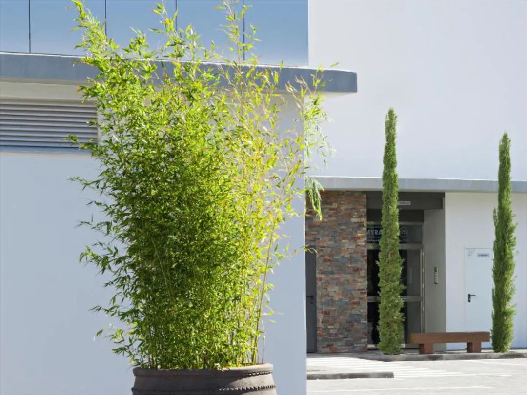 Piso en  Calle San Manuel 7 - Foto 9