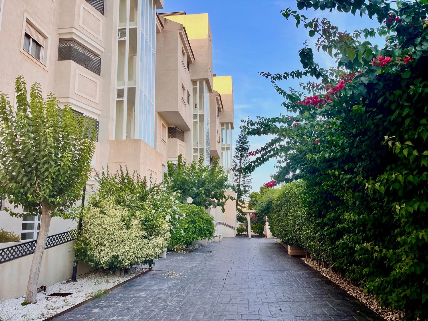 Piso en Calle Britania, 21, Playa de San Juan - Foto 13