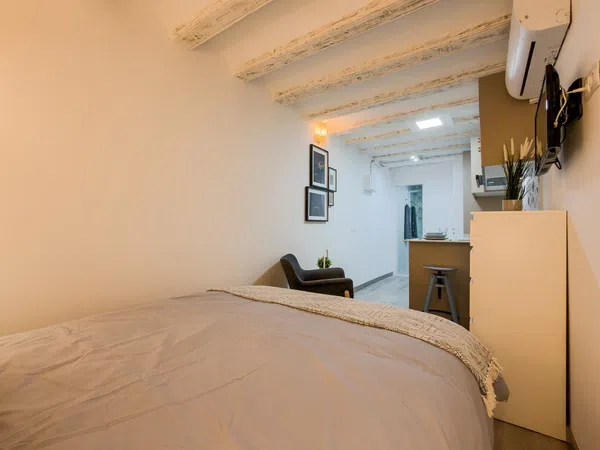 Estudio en Calle d'En Robador, 31 - Foto 9