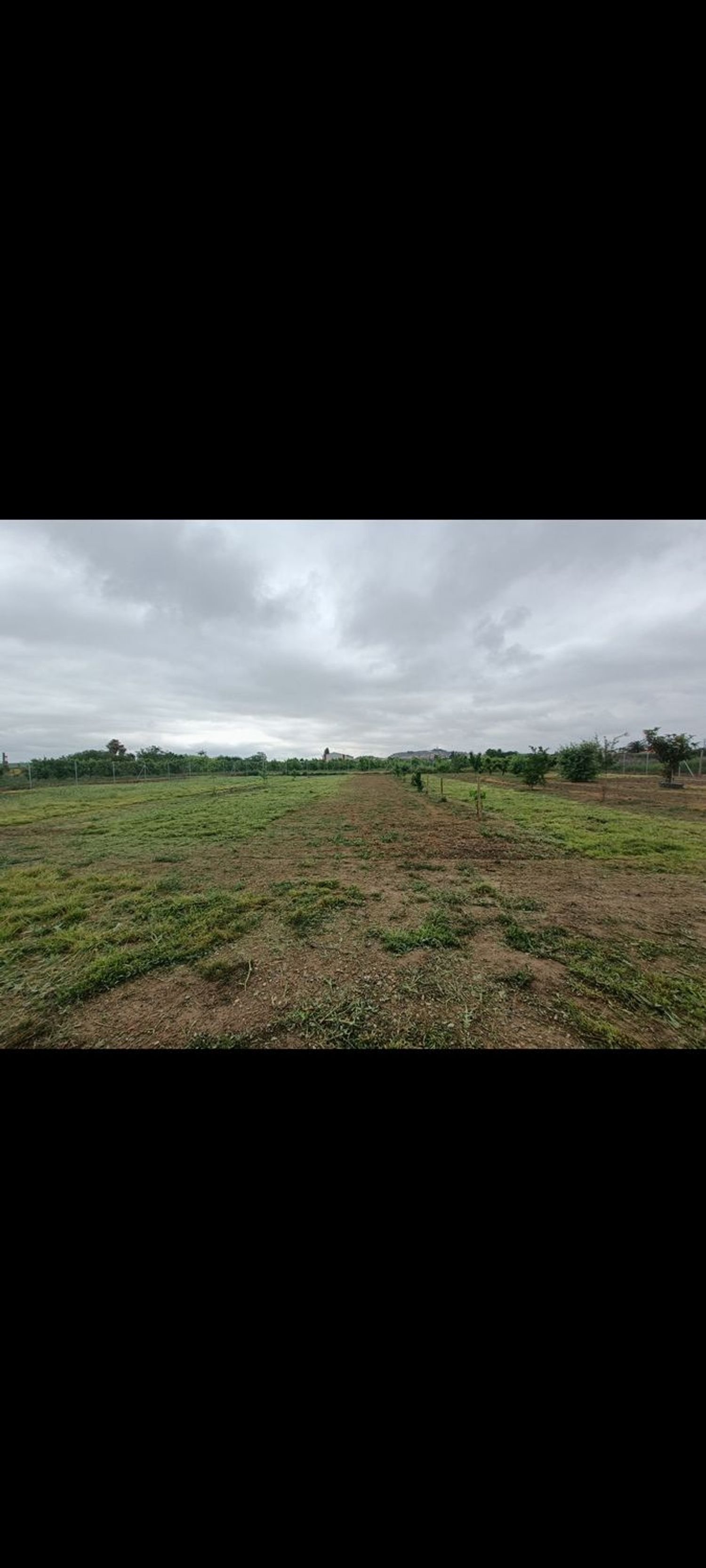 Finca rústica en Avenida Ermita del Pilar s/n - Foto 4