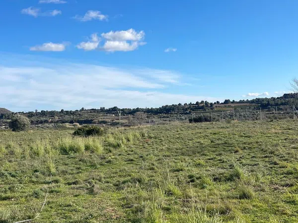 Finca rústica en Poligono 17 s/n - Foto 7
