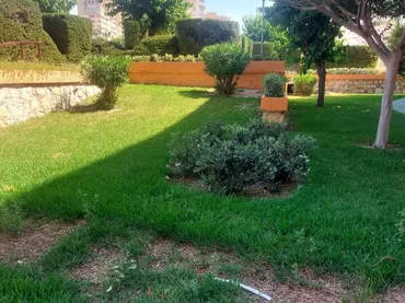 Piso en  Avenida de Niza 118 - Foto 7