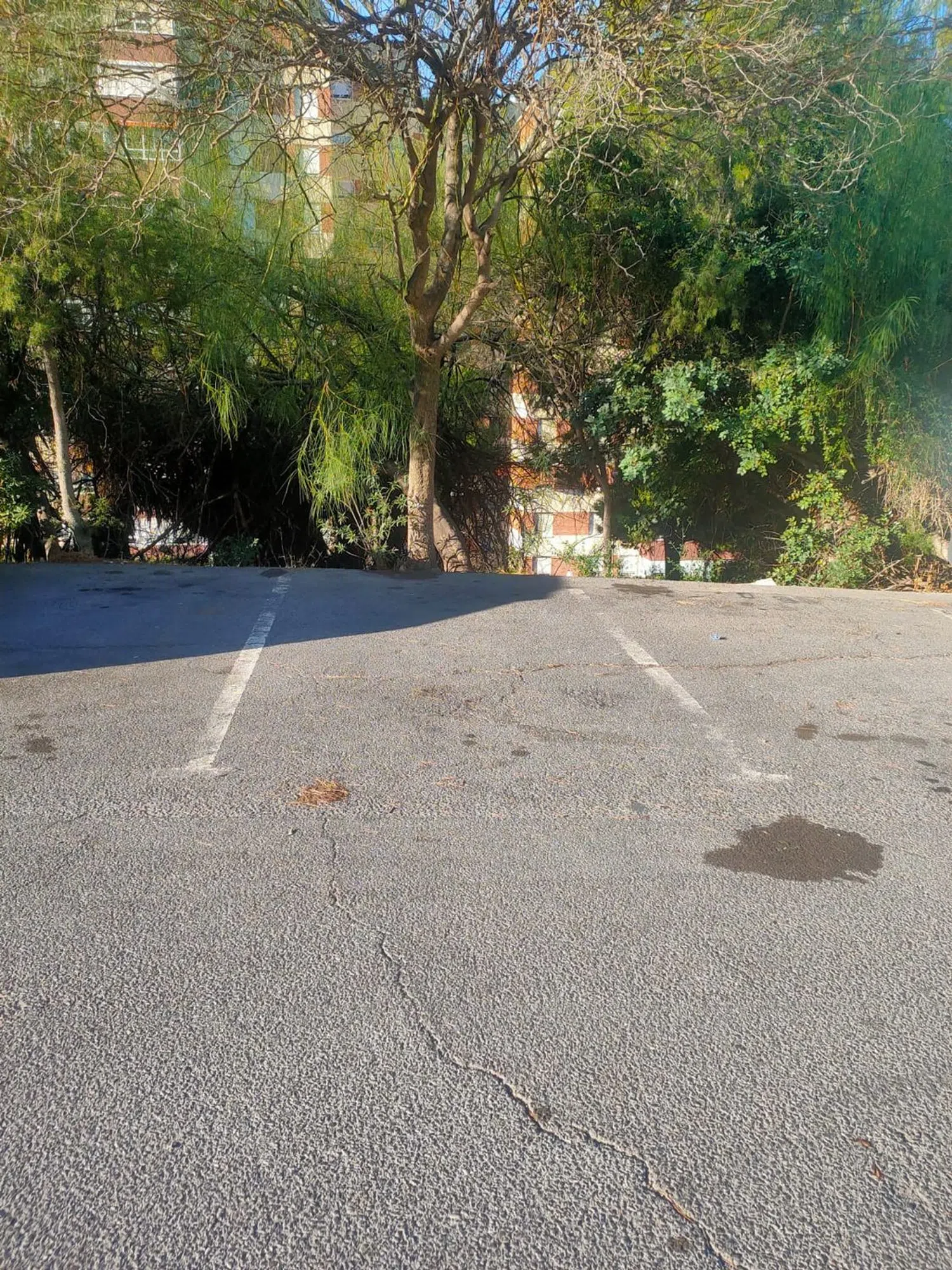 Piso en calle Pintor Pedro Camacho, 17 - Foto 19