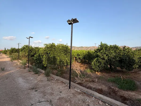 Finca rústica en Camino de los Plazas, 16, San José de la Vega - Foto 33