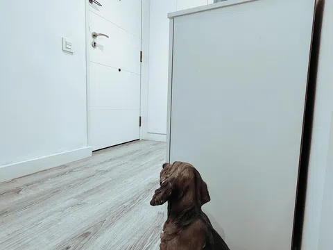 Piso en calle Santa Clara, 6 - Foto 19