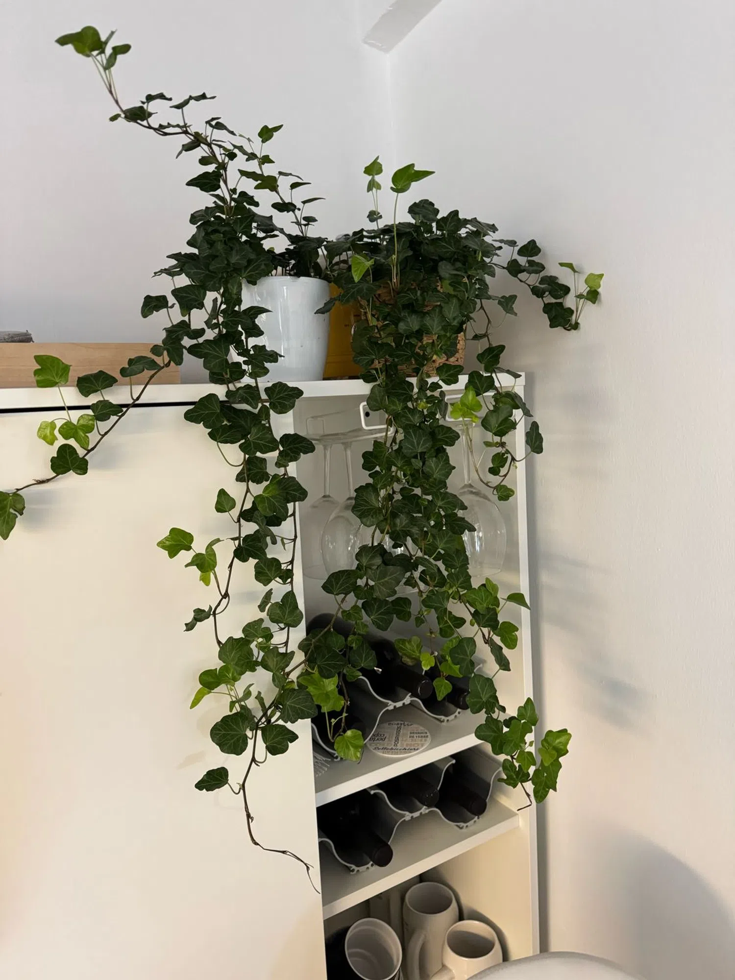 Piso en calle San Cosme y San Damián, 24 - Foto 14