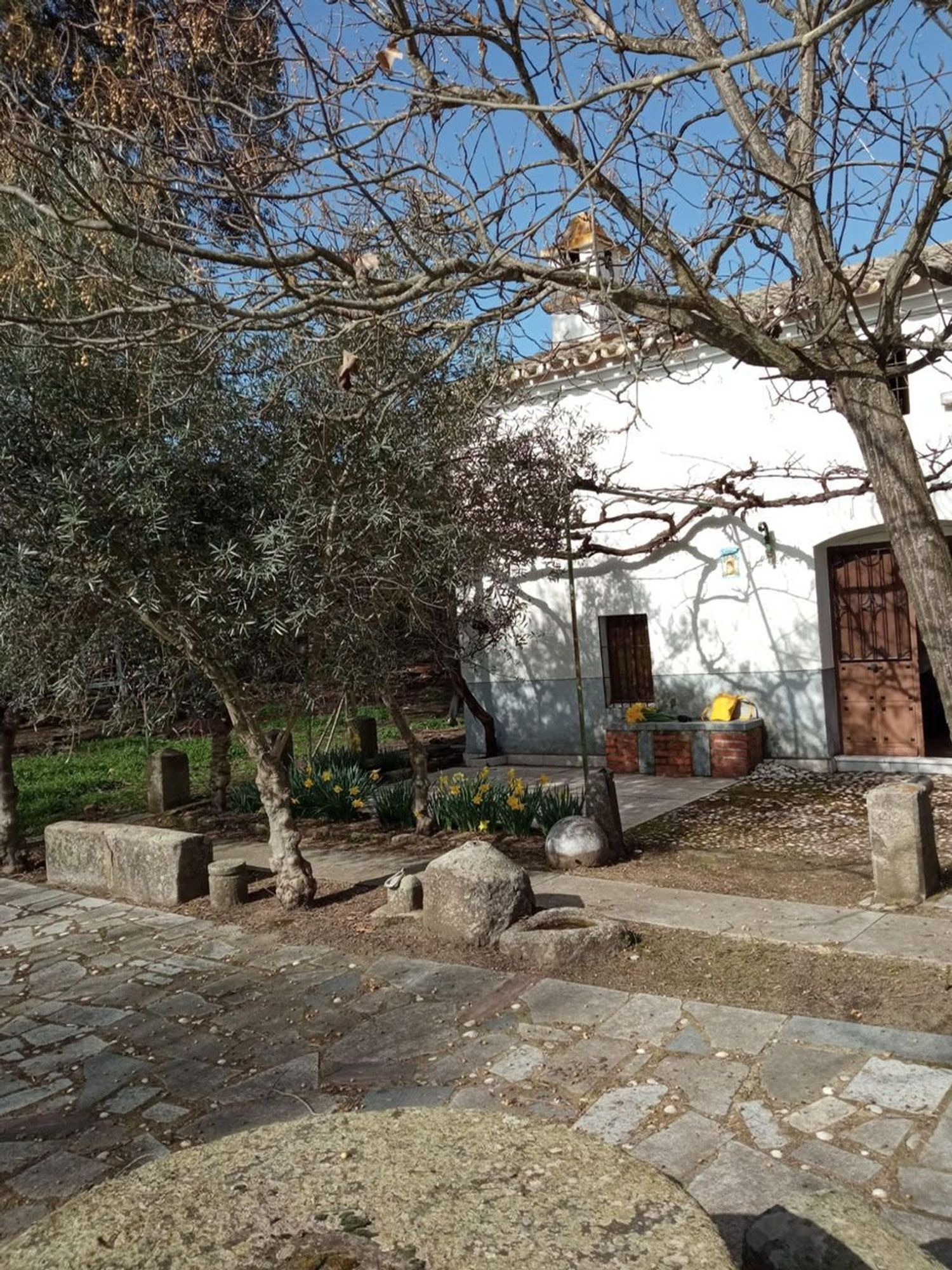 Finca rústica en Camino de la Huerta Bastida s/n - Foto 3
