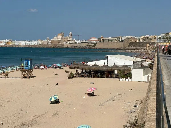 Piso en Avenida Amílcar Barca, 13, Playa Victoria - Paseo Marítimo, Playa Victoria - Paseo Marítimo - Foto 1