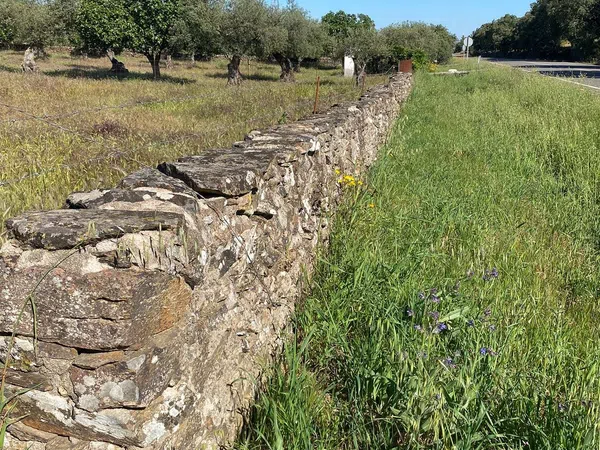 Finca rústica en Carretera Ex-201 s/n - Foto 17