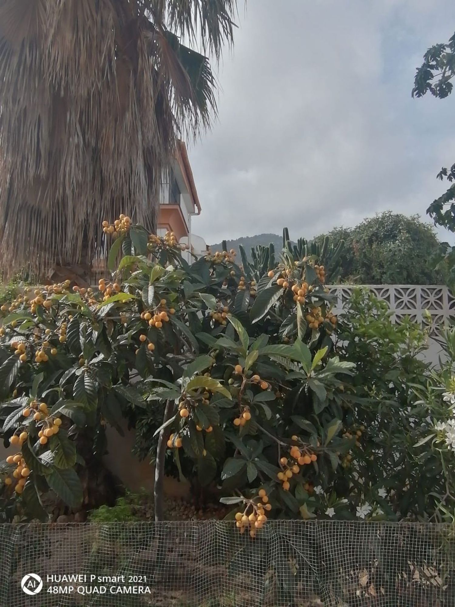 Chalet pareado en Calle Canoa, 8, Capellanía - Retamar, Capellanía - Retamar - Foto 21