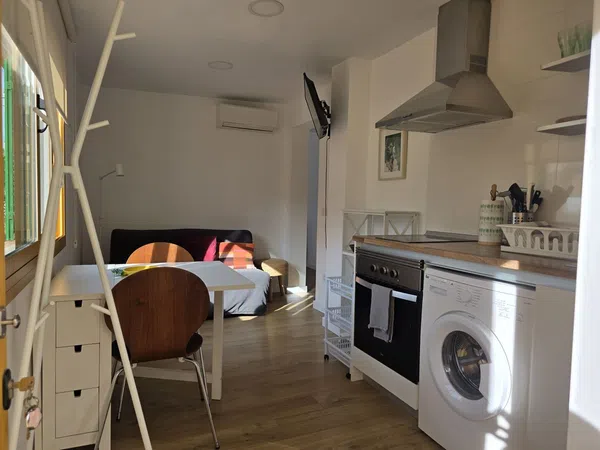 Estudio en calle dels Pins, 16 a - Foto 1