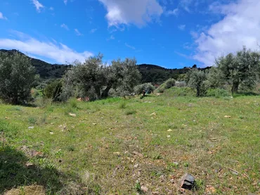 Finca rústica en  Diseminado el Cerval Pol 15 34B - Foto 17
