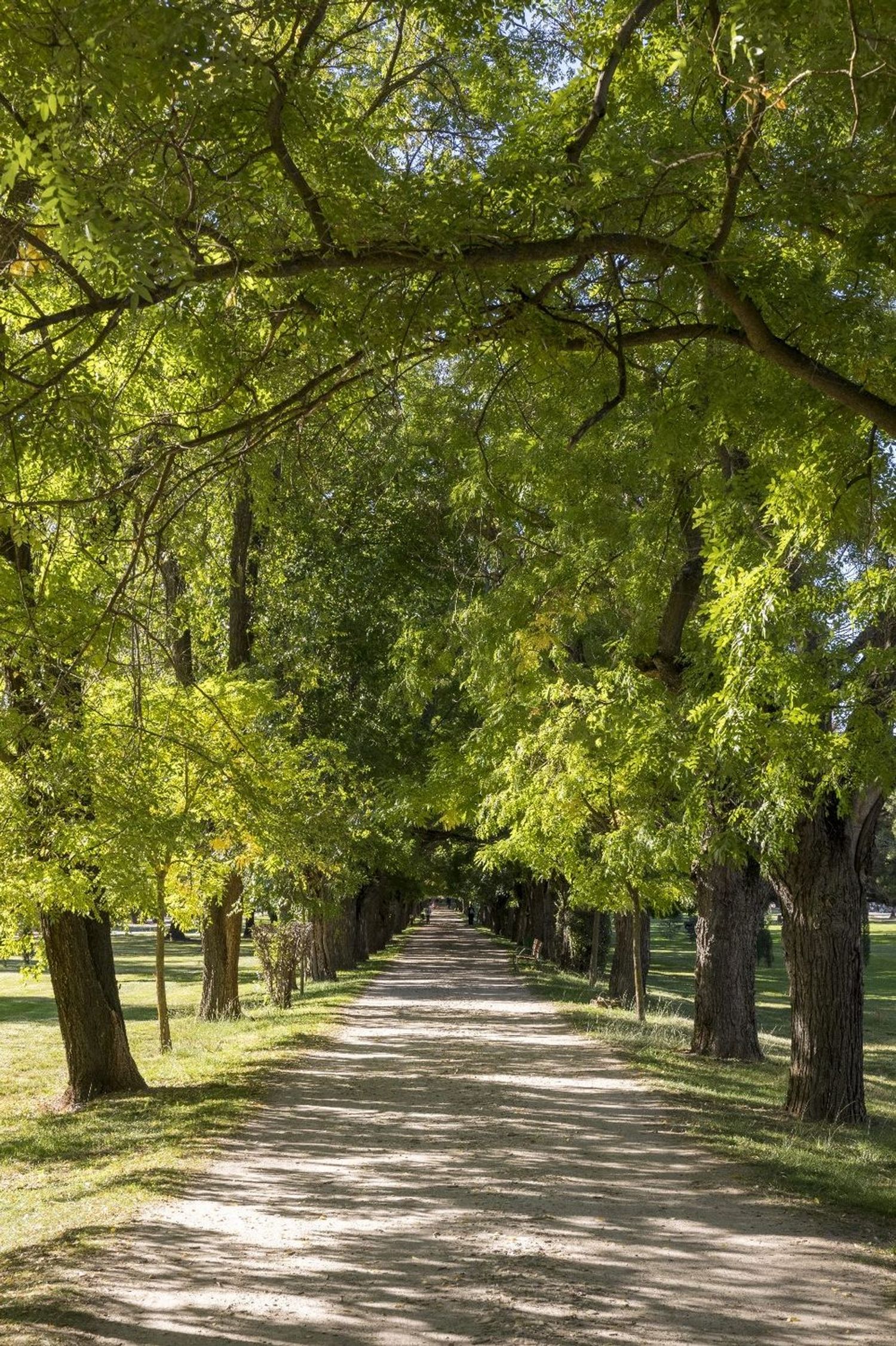 Dúplex en Urbanización Noray, 1 - Foto 23