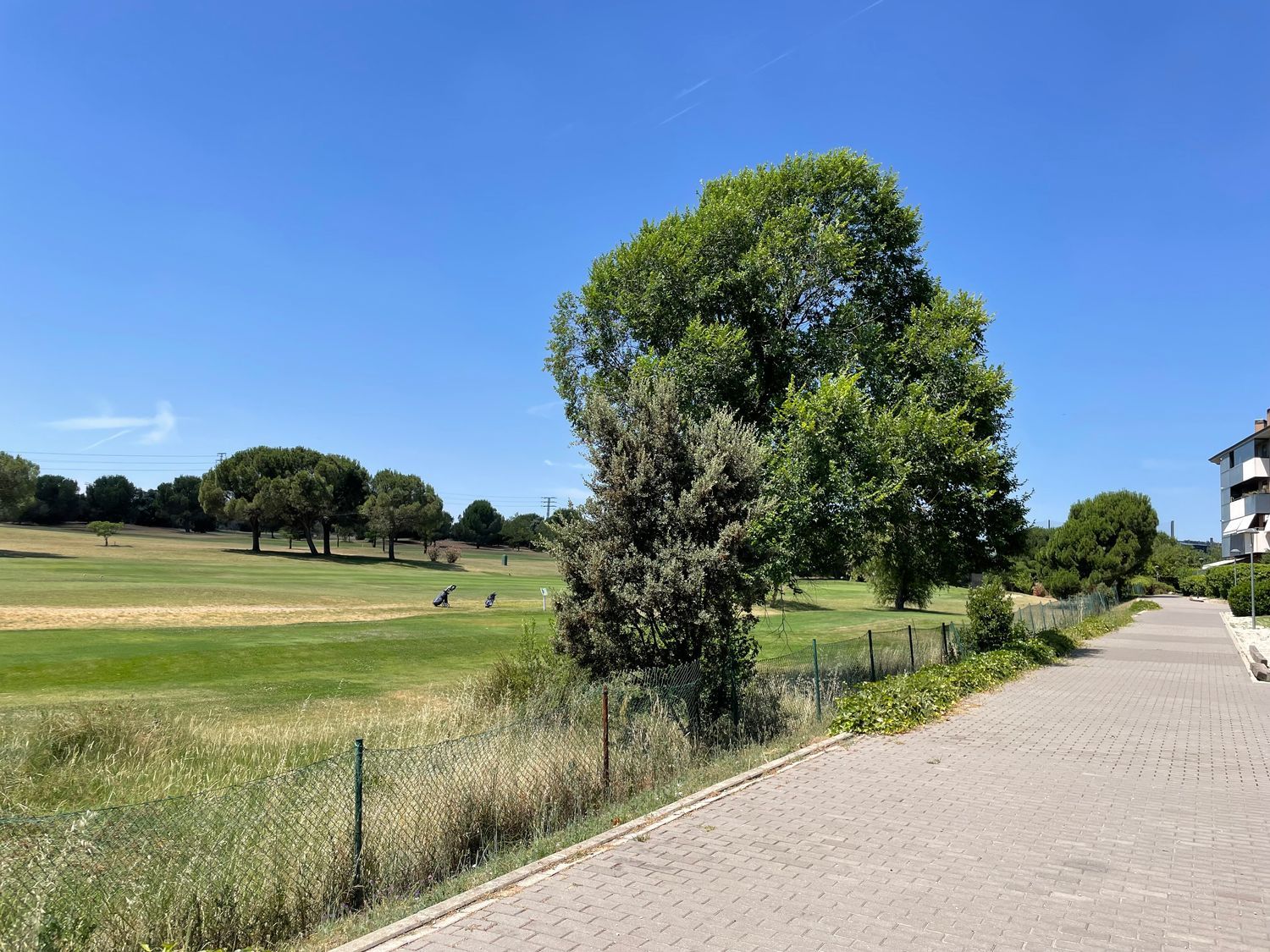Piso en Calle Isaac Albéniz, 87, Golf - El Carralero - Foto 20