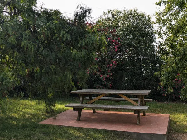 Finca rústica en Camino de Liaño, 3, Las Canteras - El Almendral, Las Canteras - El Almendral - Foto 40