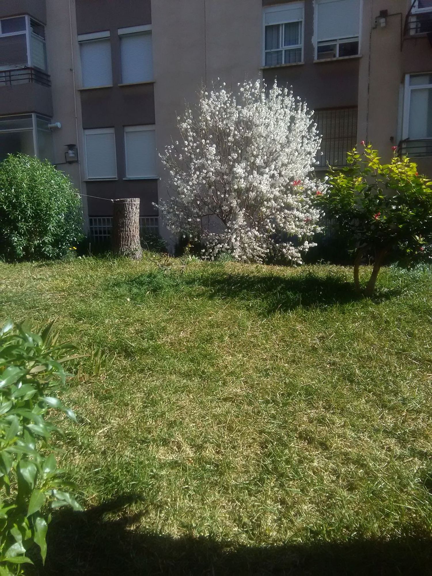 Piso en calle Benimantell, 16 - Foto 10