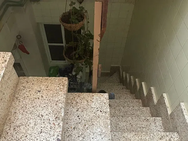 Casa o chalet independiente en Calle Chío, 12, La Salud - Foto 21
