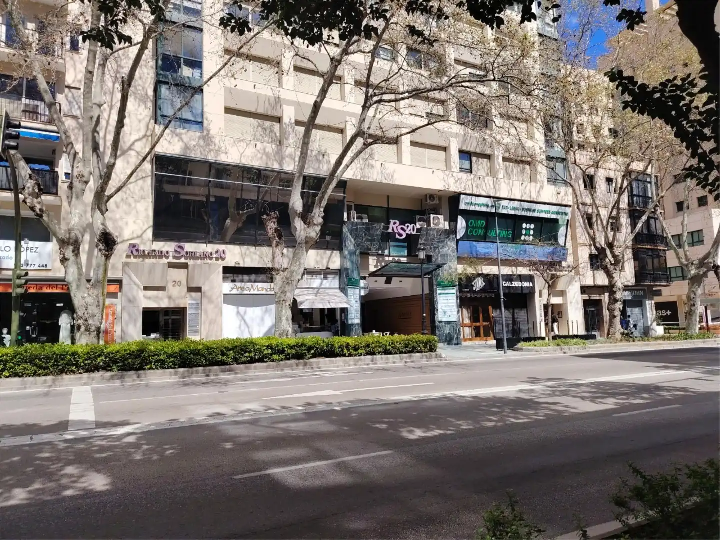 Local comercial en  Avenida Ricardo Soriano 20 - Foto 8
