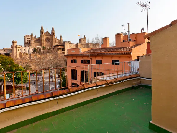 Estudio en paseo del Born, 5 - Foto 14