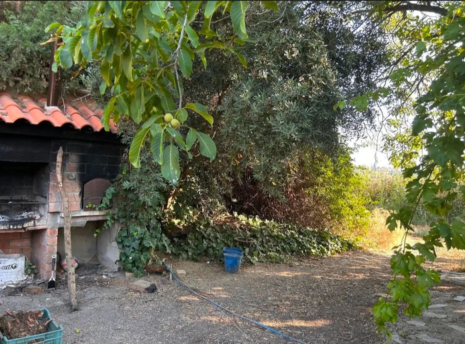 Finca rústica en Polígono 1, 3 - Foto 6